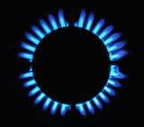 Gas Hob